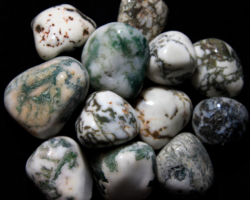 1lb of Large Tumbled Tree Agate (33mm-50mm)