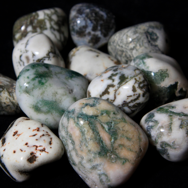 1lb of Large Tumbled Tree Agate (33mm-50mm)