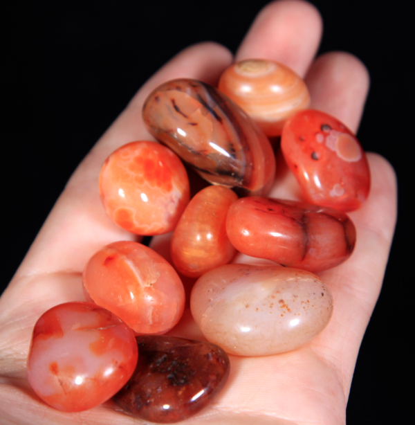 Small Tumbled Red Carnelian Pieces in hand for size comparison