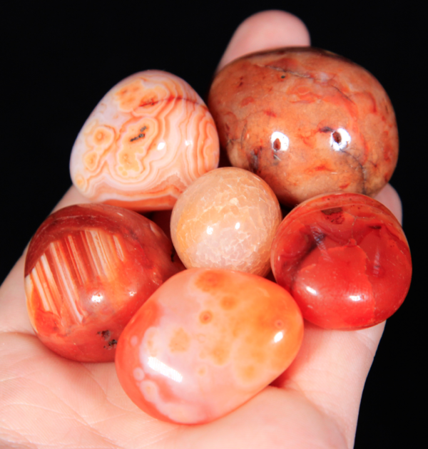 Medium Tumbled Red Carnelian Pieces in hand for size
