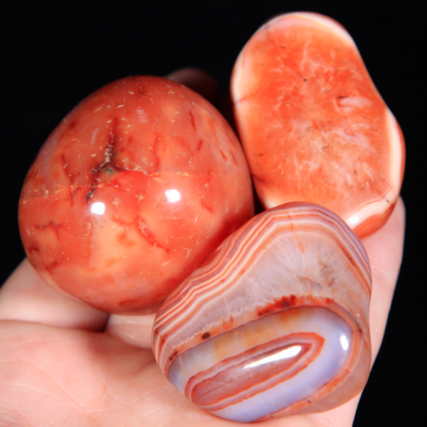 Large Tumbled Red Carnelian Pieces in hand for size