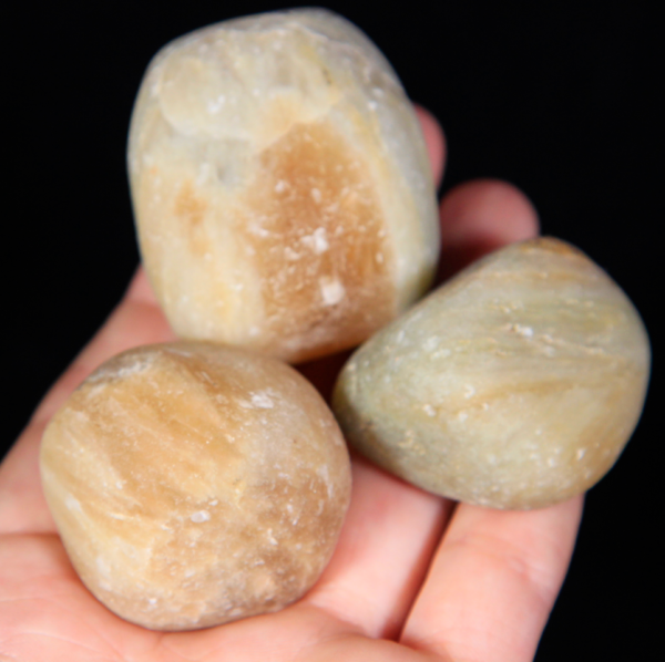 Large Tumbled Cats Eye Pieces in hand for size