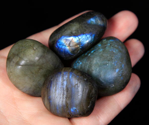 Medium Tumbled Labradorite Pieces in hand for size