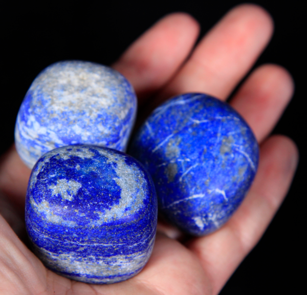 Large Tumbled Lapis Lazuli Pieces in hand for size