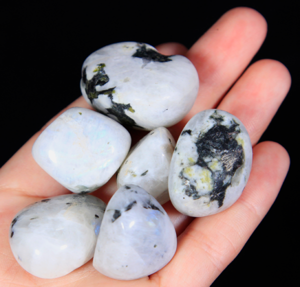 Small Tumbled Rainbow Moonstone Pieces in hand for size
