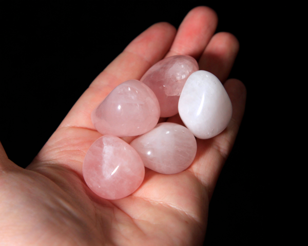 Small Tumbled Rose Quartz Pieces in hand for size