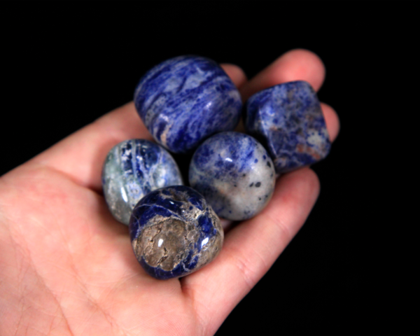 Small Tumbled Sodalite Pieces in hand for size