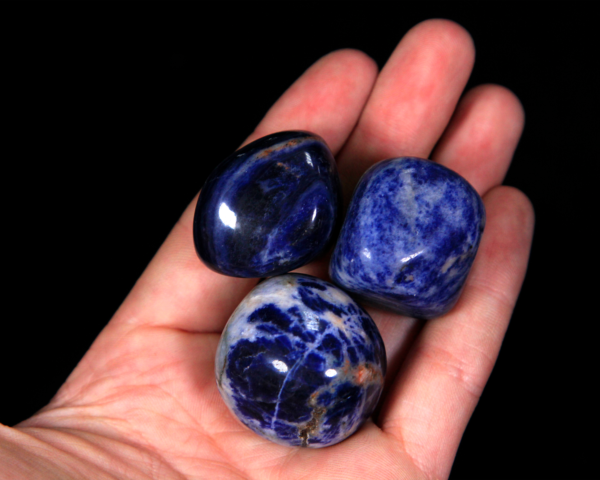 Medium Tumbled Sodalite Pieces in hand for size