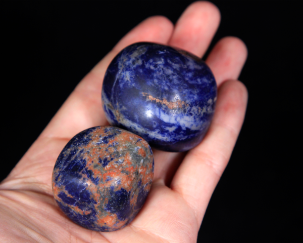 Large Tumbled Sodalite Pieces in hand for size