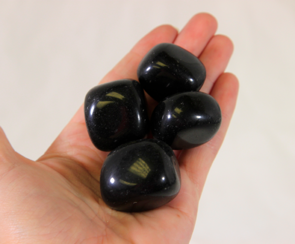 Medium Black Obsidian Stones in hand for size comparison