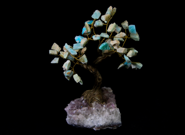 Medium Amazonite Crystal Point Tree with Amethyst Base