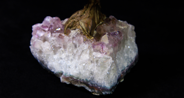 Close view of Amethyst Base of Amazonite Crystal Point Tree