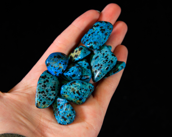 Several Blue Dalmatian Jasper Stones in hand for size comparison
