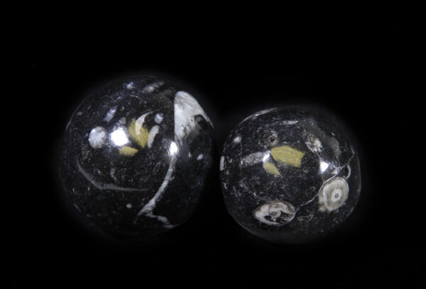 Two Orthoceras fossil balls