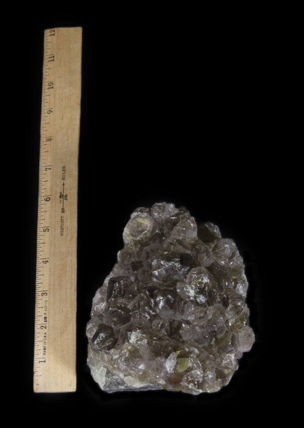 Dark smokey-colored Amethyst Crystal Cluster next to ruler for size comparison