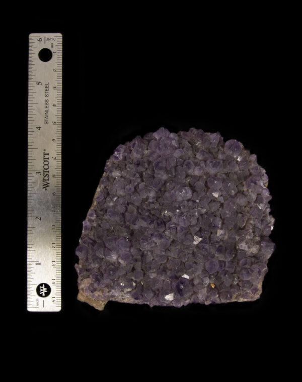 Amethyst Crystal Cluster next to ruler for size comparison