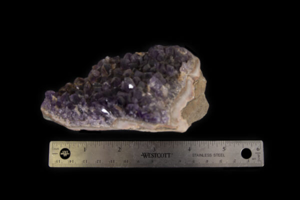 Purple colored Amethyst Crystal Cluster embedded in Pink rock matrix next to ruler