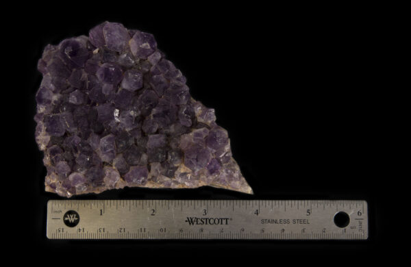 Deep Purple colored Amethyst Crystal next to ruler for size comparison