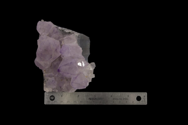 Individual Purple Amethyst Cluster with ruler for size