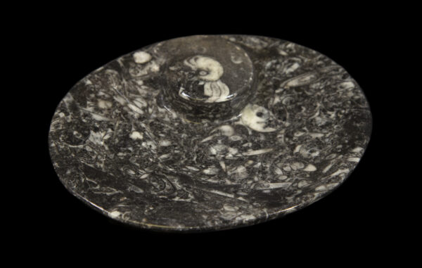 Black Ammonite and Orthoceras Oval Tray top view