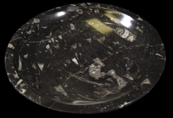 Black Orthoceras 10 inch Bowl top view