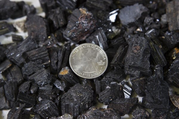 Black Rough Tourmaline Gravel with coin for size comparison