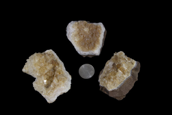 Citrine Crystal Trio with coin for size