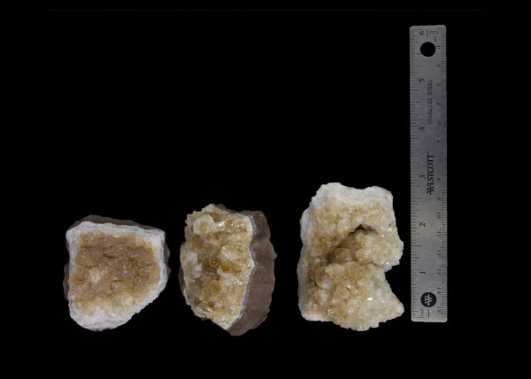 Citrine Crystal Trio with ruler for size