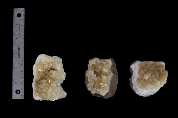 Citrine Crystal Trio with ruler