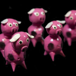 LooseNeck Pigs - Five Pack