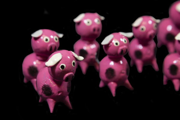 Pink Looseneck Pig Figurines made from dried limoncello fruit