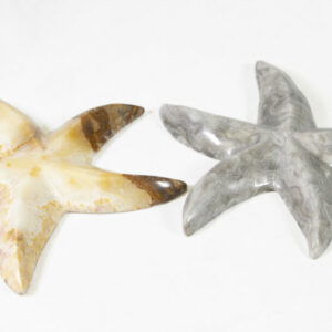 Marble Starfish 5" - Turtleman Foundation Purchase