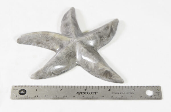 Marble Starfish 5" with ruler for size