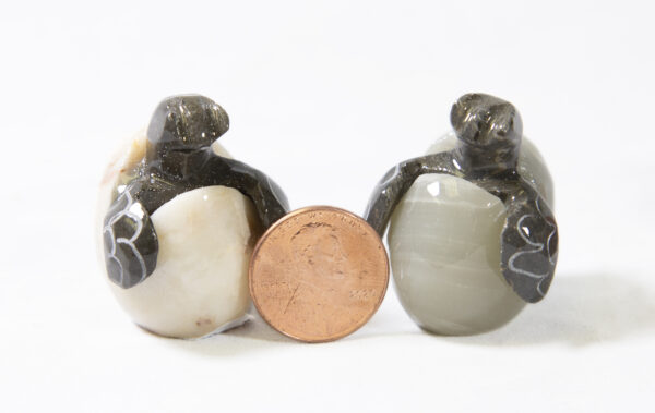 1.5 inch Marble Hatchling Turtles with penny for size