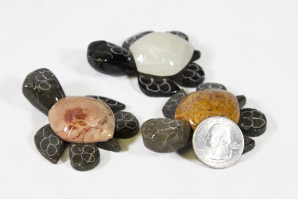 Two inch Marble Natural Turtles with coin for size