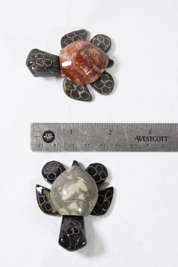 Two inch Marble Natural Turtles with ruler for size