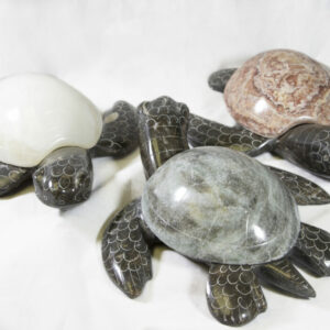 Marble Natural Turtle 9" -Turtleman Foundation Purchase