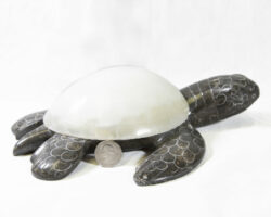 Marble Natural Turtle 9" -Turtleman Foundation Purchase (One Turtle)