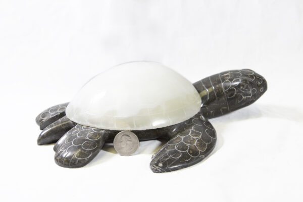 White Marble Natural Turtle 9"