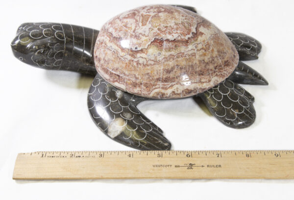 Marble Natural Turtles 9" with ruler