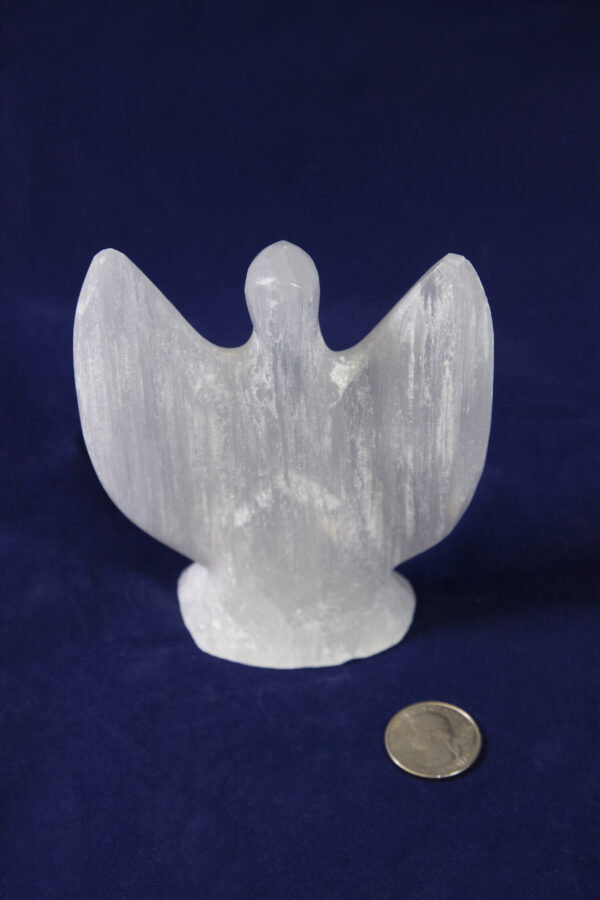 Large Selenite Angel with coin for size