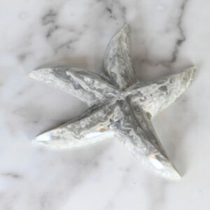Marble Starfish 3" - Turtleman Foundation Purchase