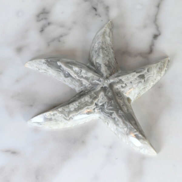 Marble Starfish 3" - Turtleman Foundation Purchase (One Starfish)