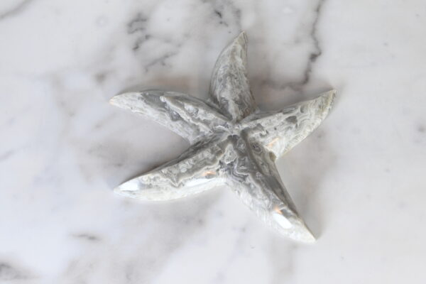 3 inch Marble Starfish top view