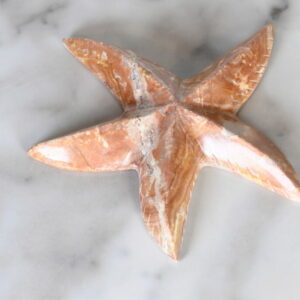 Marble Starfish 5" - Turtleman Foundation Purchase