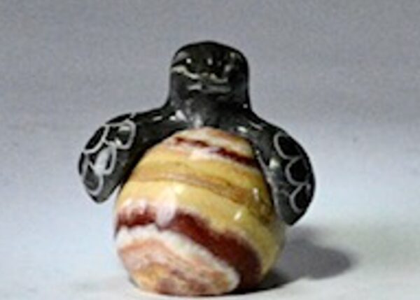 1.5 inch Marble Hatchling Turtle