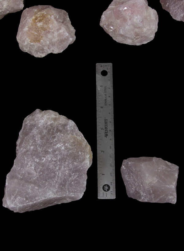 Rose Quartz Individual Pieces with ruler for height