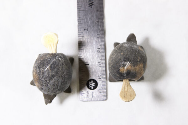 Unpainted Looseneck Turtle Figurines next to ruler for size comparison