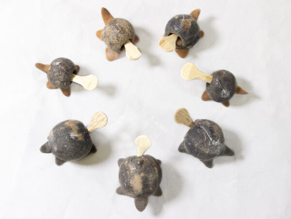 Unpainted Looseneck Turtle Figurines made from dried limoncello fruit