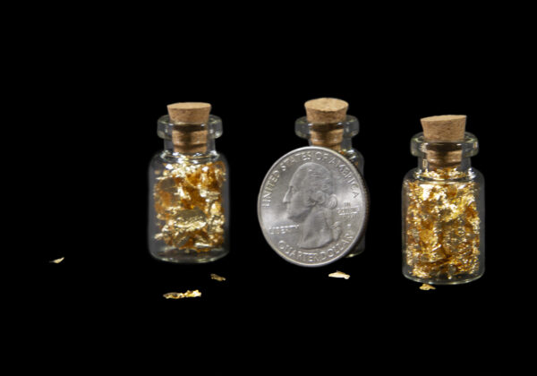 Real Gold Flakes in Glass Vial with coin for size